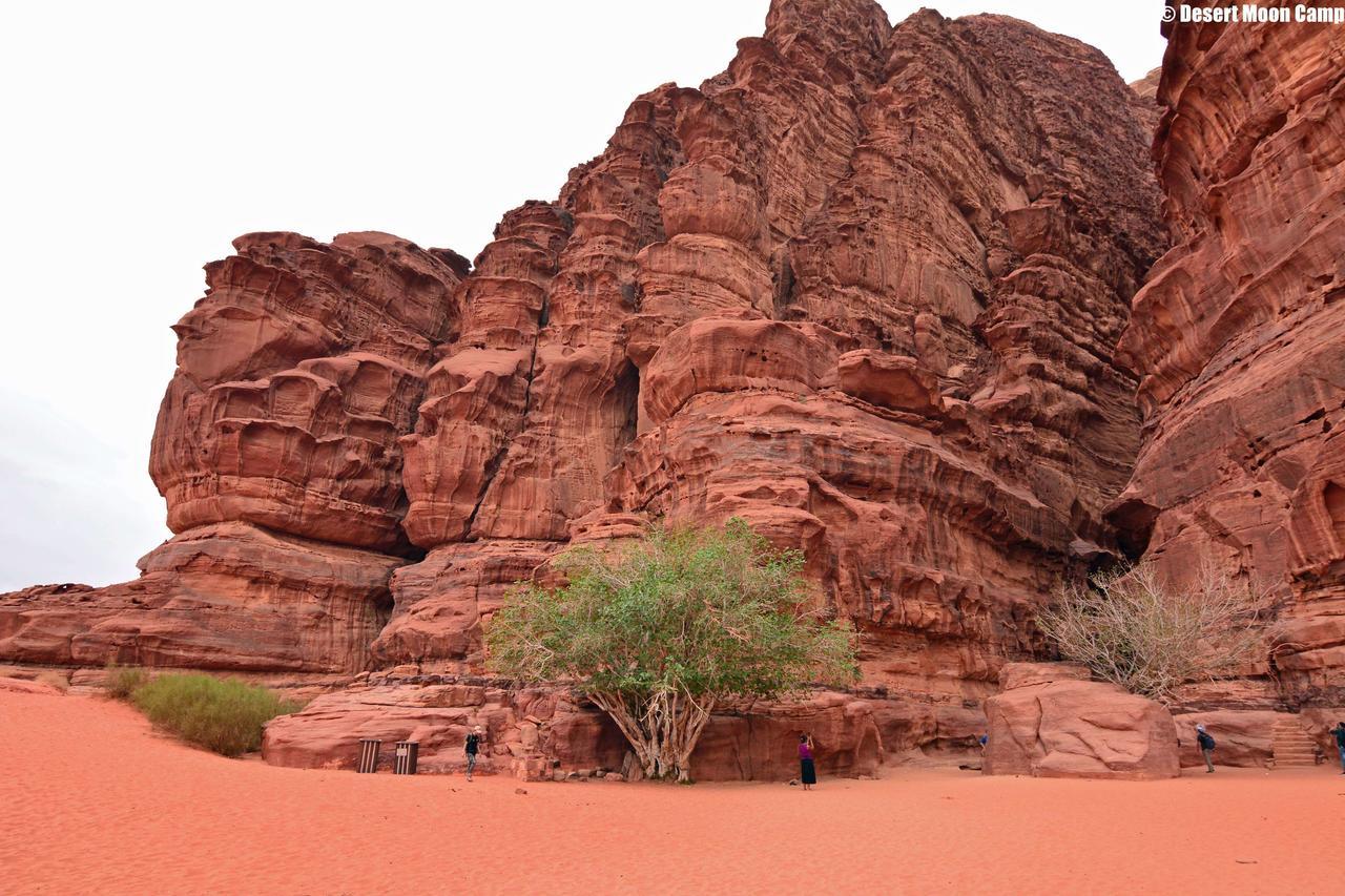 Desert Moon Camp Wadi Rum Bagian luar foto